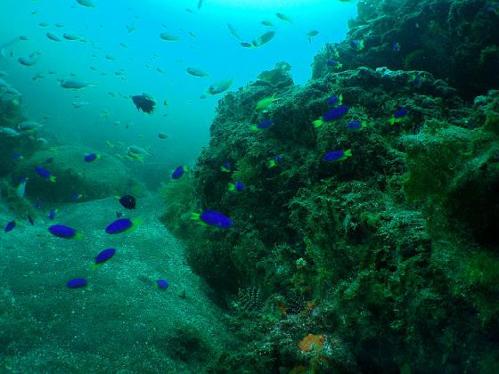 PA040041.jpg - OLYMPUS DIGITAL CAMERA