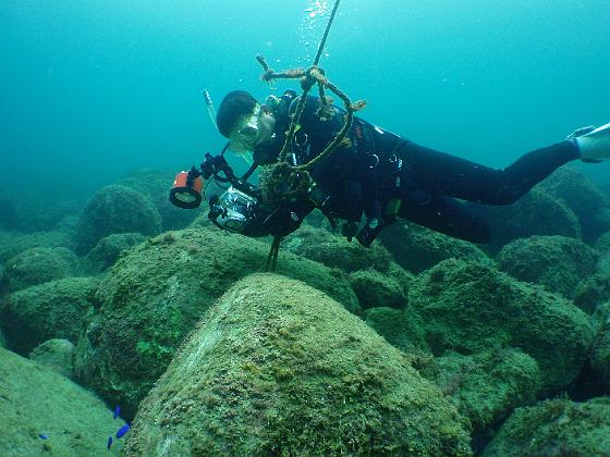 PA040066.jpg - OLYMPUS DIGITAL CAMERA