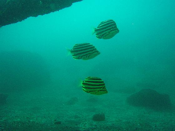 PA040096.jpg - OLYMPUS DIGITAL CAMERA