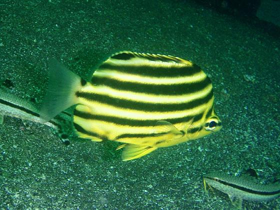 PA040099.jpg - OLYMPUS DIGITAL CAMERA