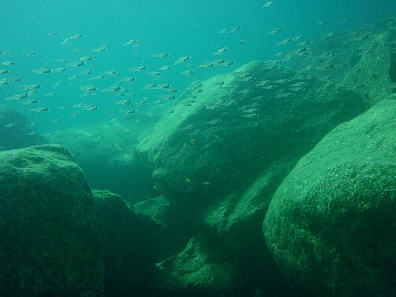 PA040137.jpg - OLYMPUS DIGITAL CAMERA