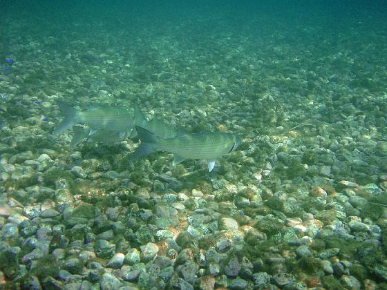 PA040144.jpg - OLYMPUS DIGITAL CAMERA