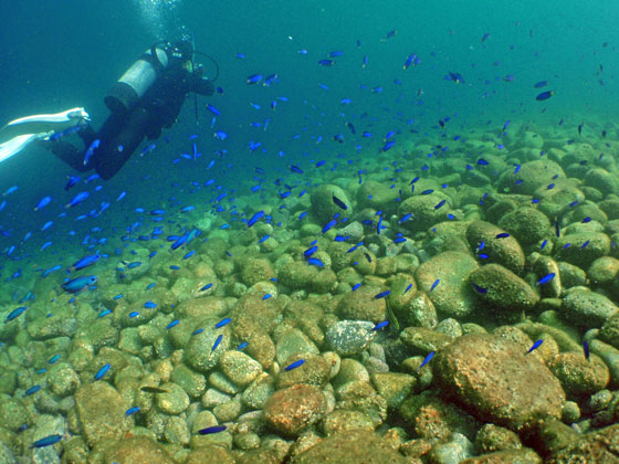 PA040147.jpg - OLYMPUS DIGITAL CAMERA