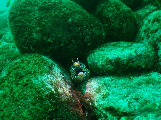 PA040187.jpg - OLYMPUS DIGITAL CAMERA