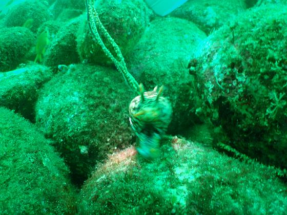 PA040197.jpg - OLYMPUS DIGITAL CAMERA