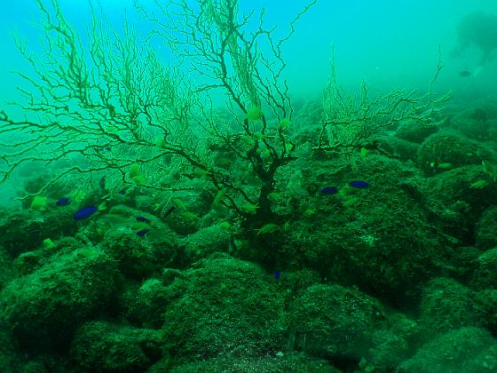 PA040205.jpg - OLYMPUS DIGITAL CAMERA