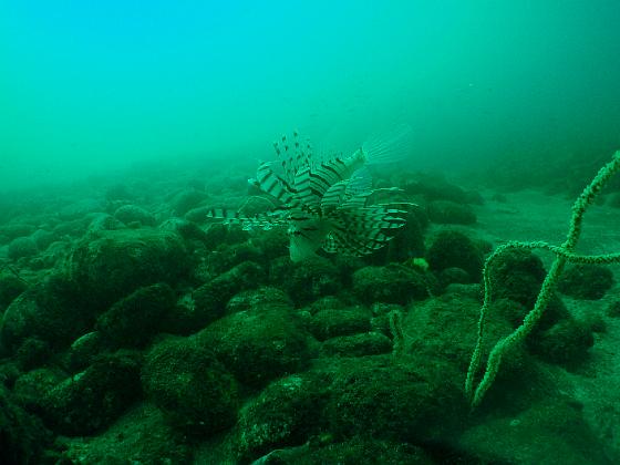 PA040213.jpg - OLYMPUS DIGITAL CAMERA