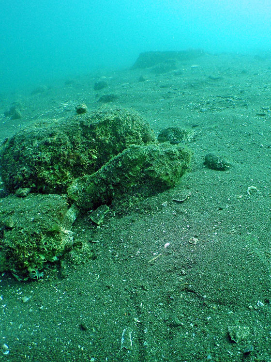 PA040272.jpg - OLYMPUS DIGITAL CAMERA