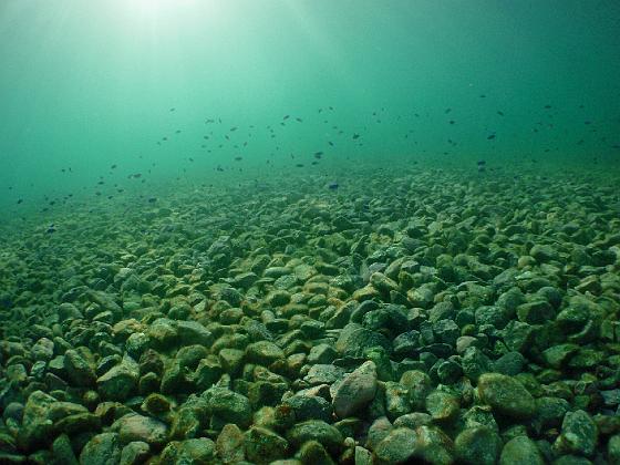 PA040296.jpg - OLYMPUS DIGITAL CAMERA