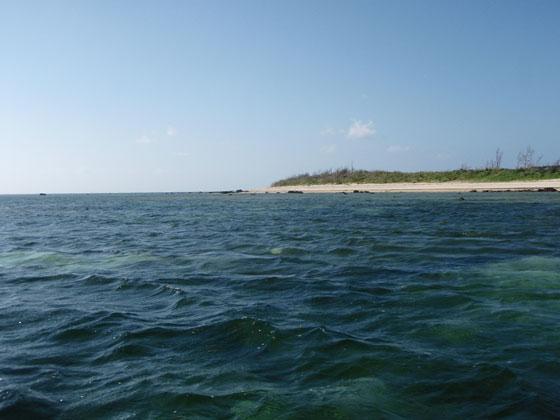 PA200001.jpg