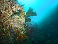 P7300006