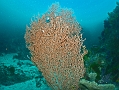 P7300007