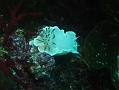 P7300015