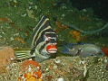 P7300023