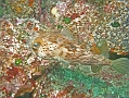 P7300037