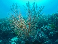 P7300049