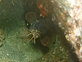 P7300054