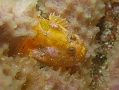 P7300056