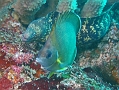 P7300060