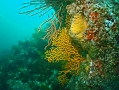 P7300068