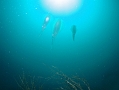 P7300078