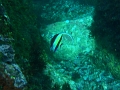 1030-00067