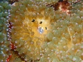 PC030008