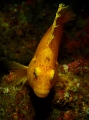 PC030031