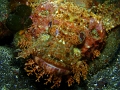 PC030042