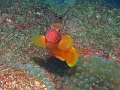PC030053