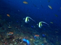 PC030058