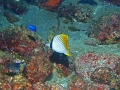 PC030065