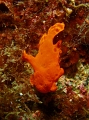PC040150