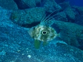PC040159