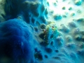 PC040162