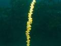 P1150021