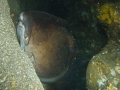 P1150025