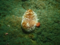 P1150037