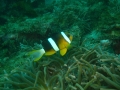 P1150045