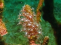 P1150067