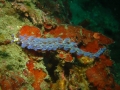 P1150087
