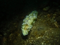 P1150094