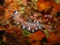 P1150098