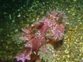 P1150106