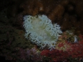 P2050004