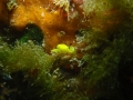 P2050019