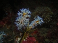 P2050021