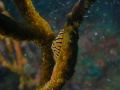 P2050025