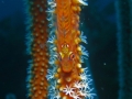 P2050035
