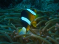 P2050056